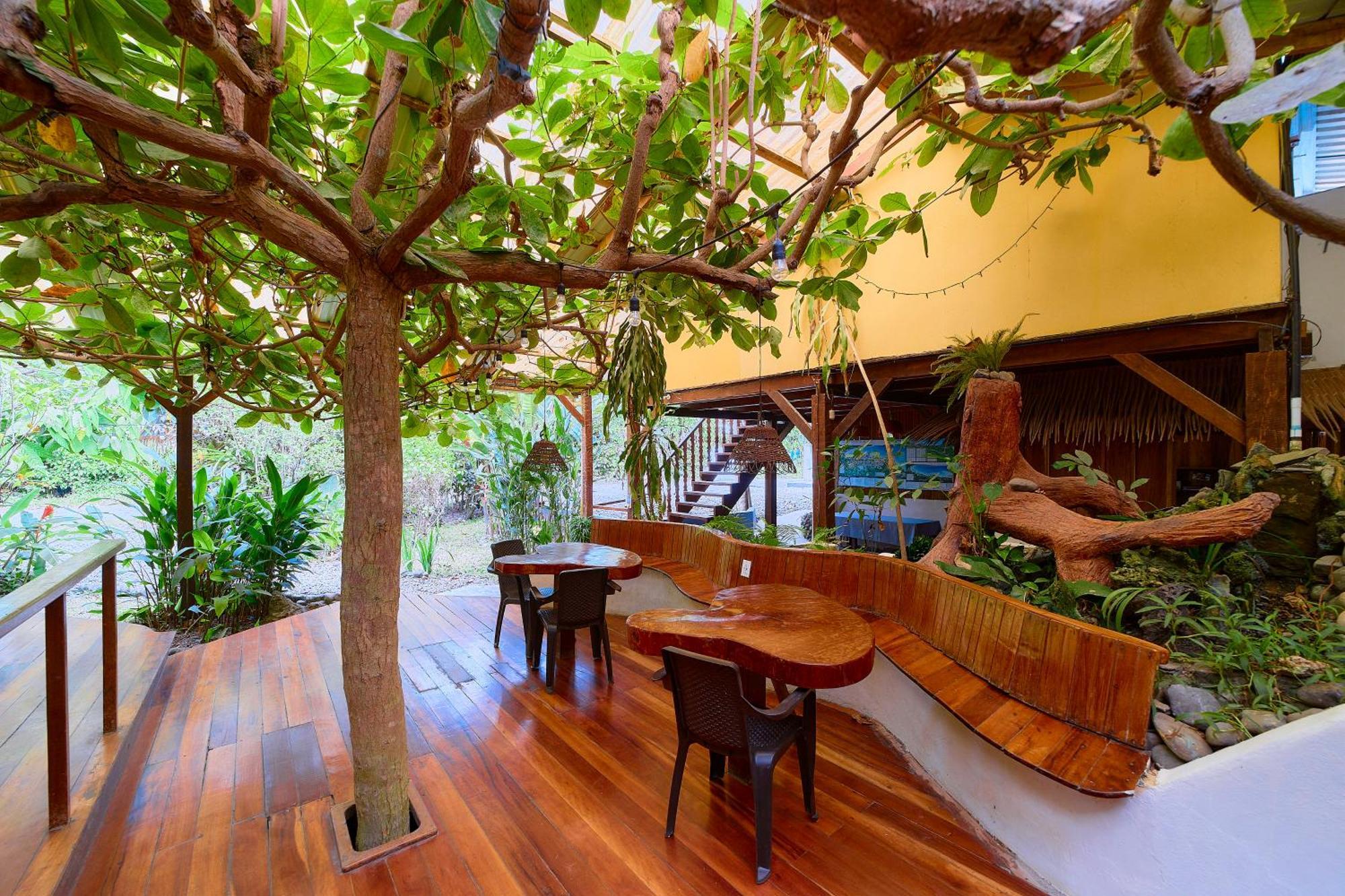 Cabinas Montesol Puerto Viejo de Talamanca Экстерьер фото