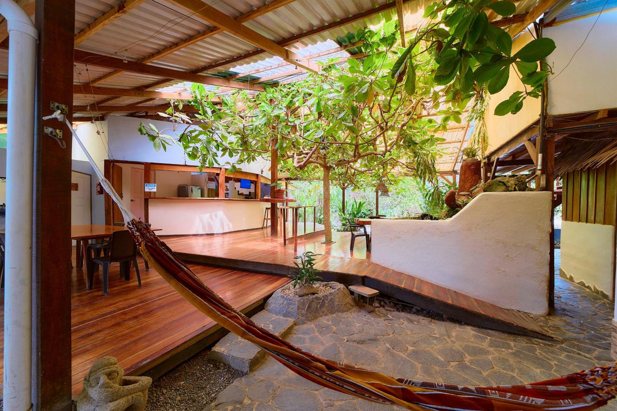 Cabinas Montesol Puerto Viejo de Talamanca Экстерьер фото