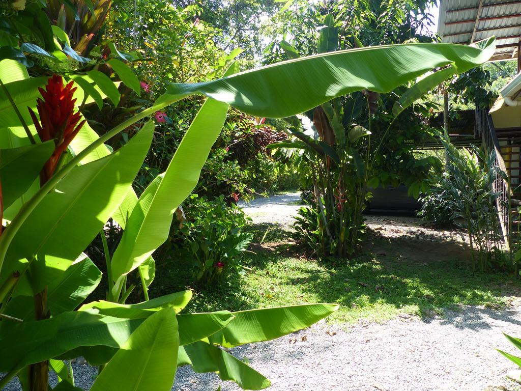 Cabinas Montesol Puerto Viejo de Talamanca Экстерьер фото